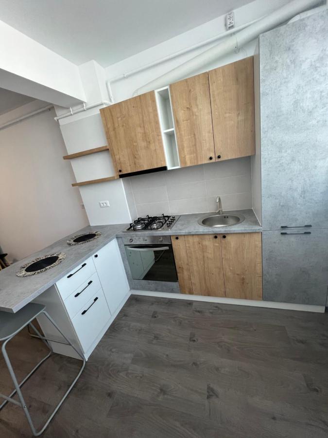 Sunny Apartments Suceava 64 Bagian luar foto